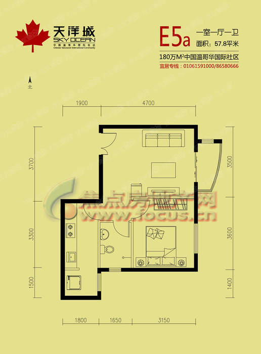 天洋城一居室戶型圖